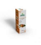 Kabak Çekirdeği  Yağı  50 cc